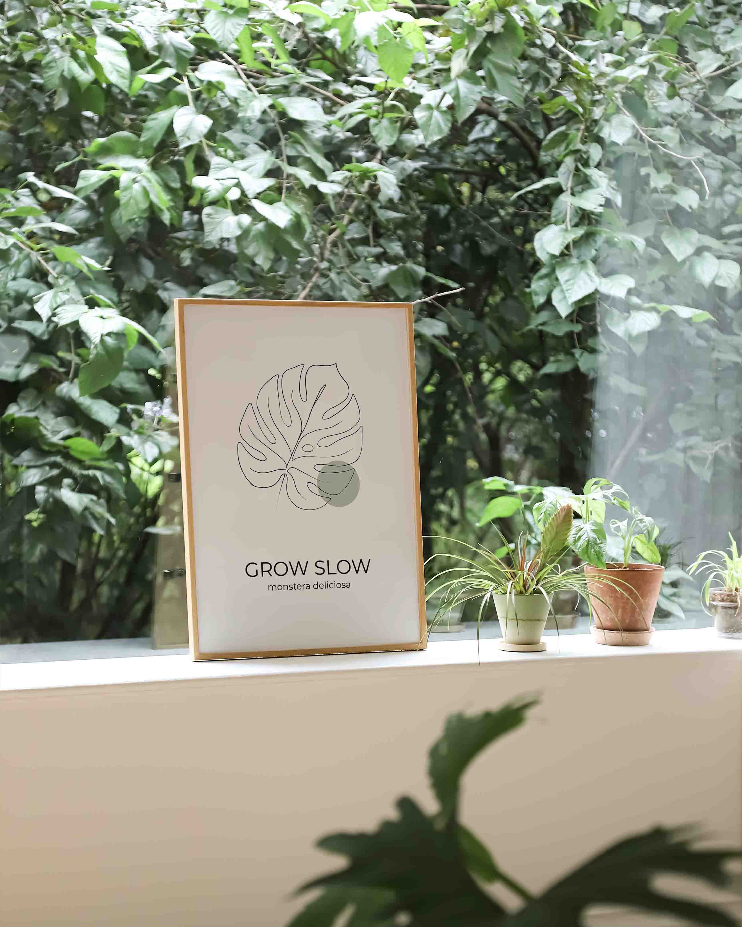 Monstera Dekorationsposter – Grow Slow