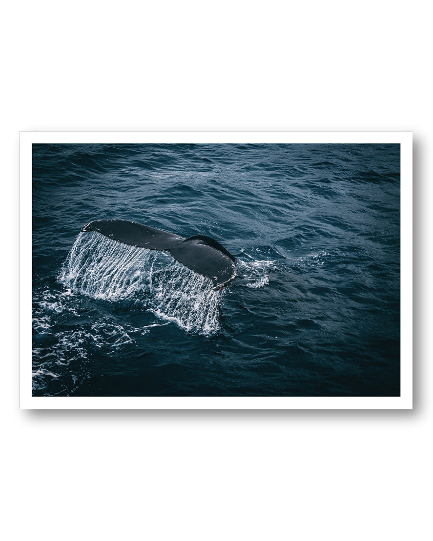 Whale Poster – FineArt Wandbild, moderne Kunst & Fine Art Print von Spawnd, handgefertigt & Made in Germany