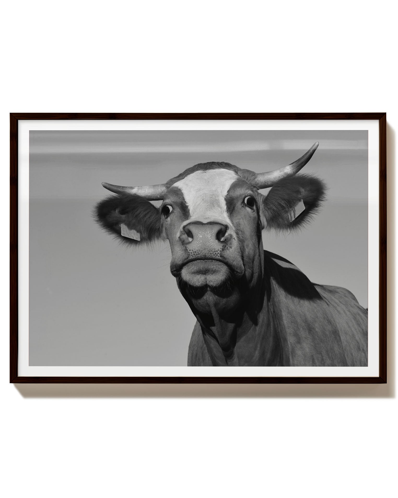What do you want? Poster – FineArt Wandbild, moderne Kunst & Fine Art Print von Spawnd, handgefertigt & Made in Germany