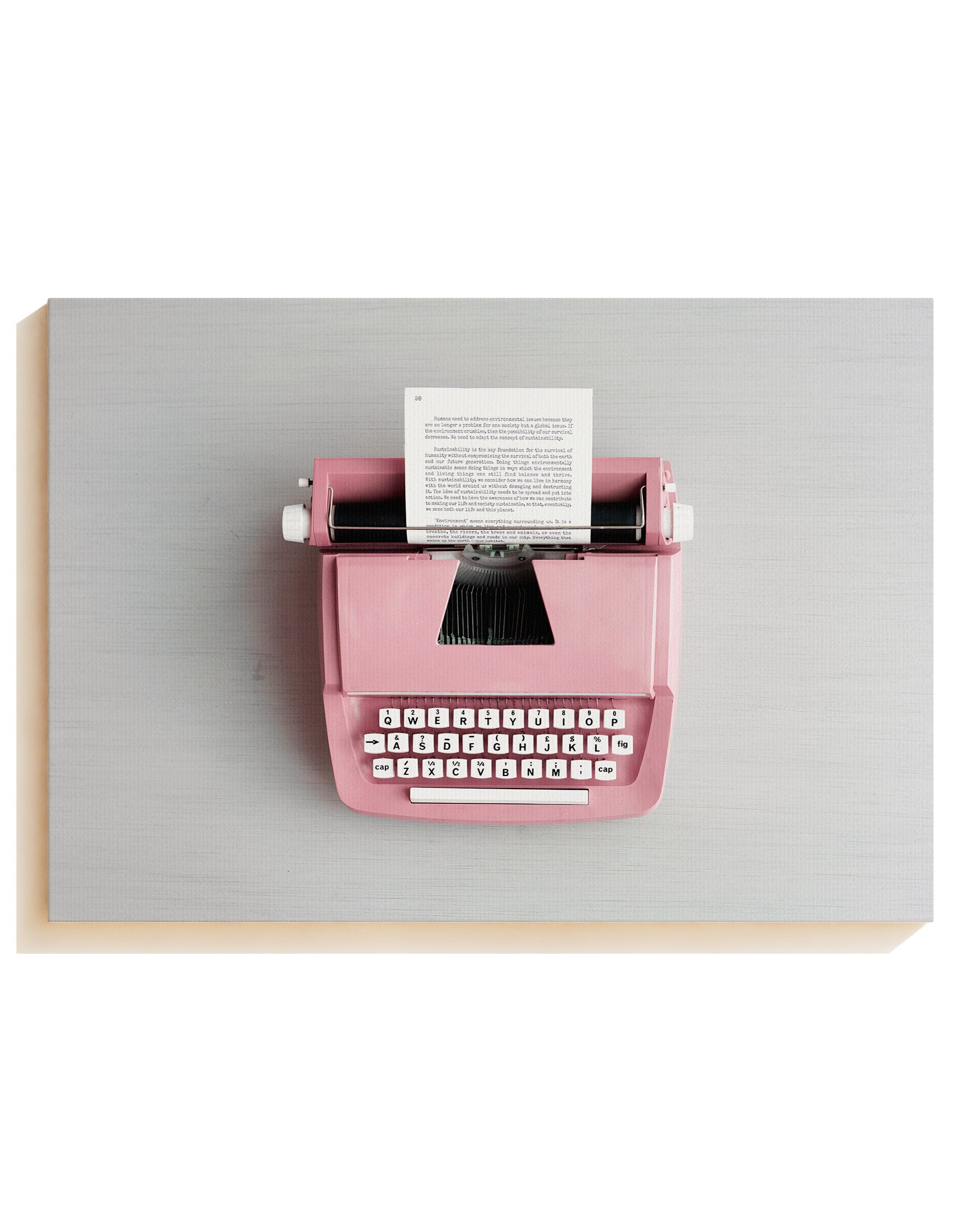 Typewriter Pink - Canvas